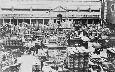 Obstverladung am Covent Garden Market, 1900